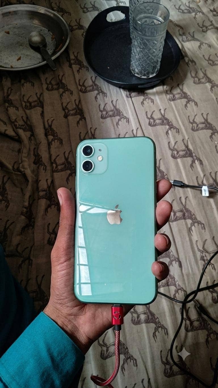 Apple iPhone 11 0