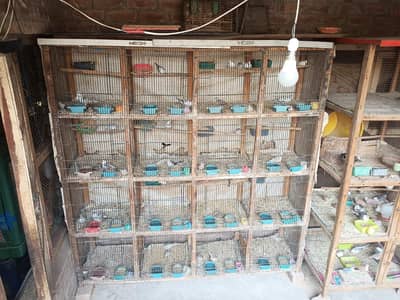 Birds cage and box