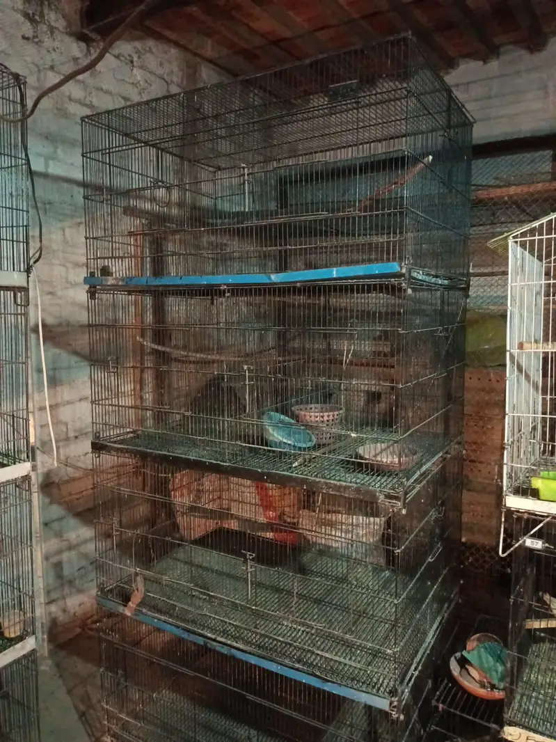 Birds cage and box — photo 2
