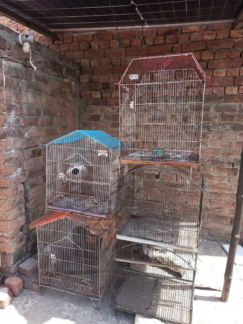Birds cage and box — photo 3