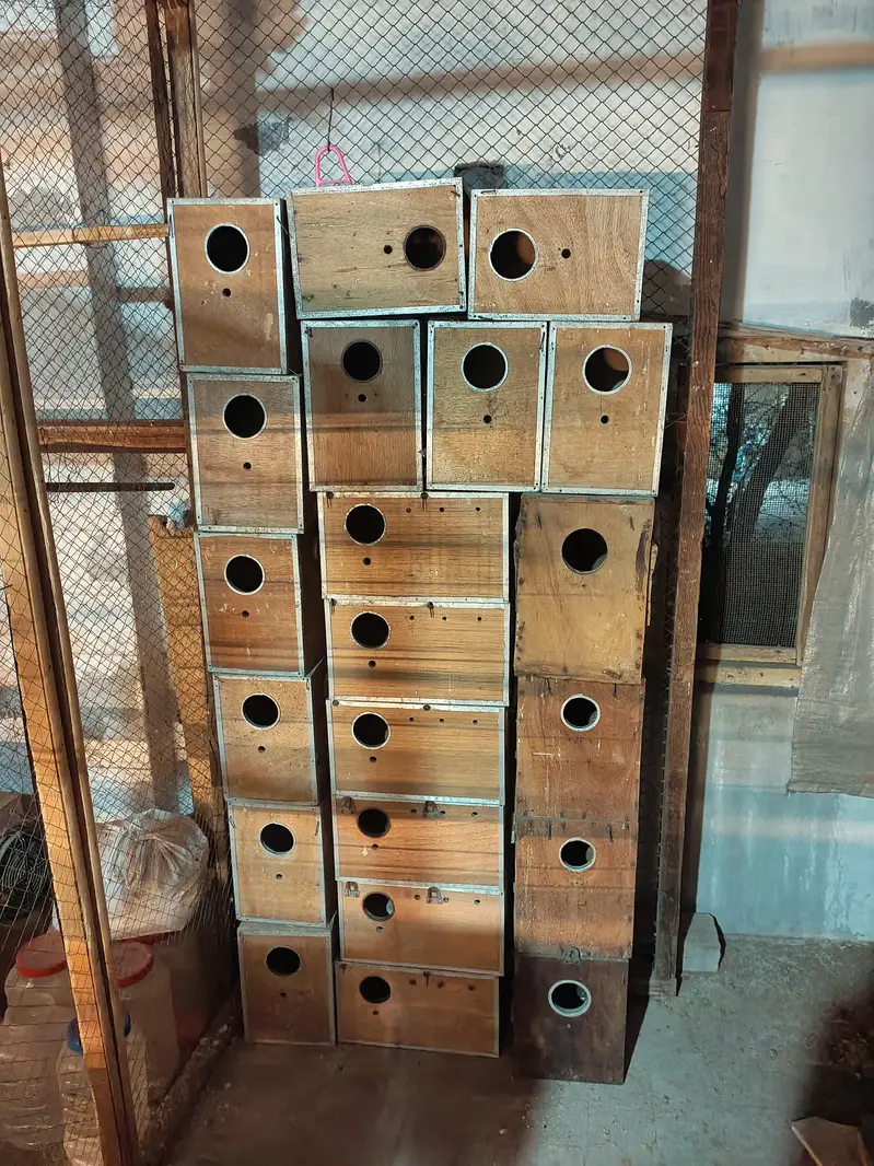 Birds cage and box — photo 4