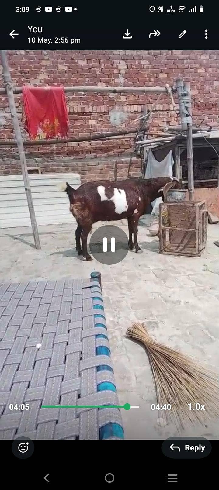 bakri 0
