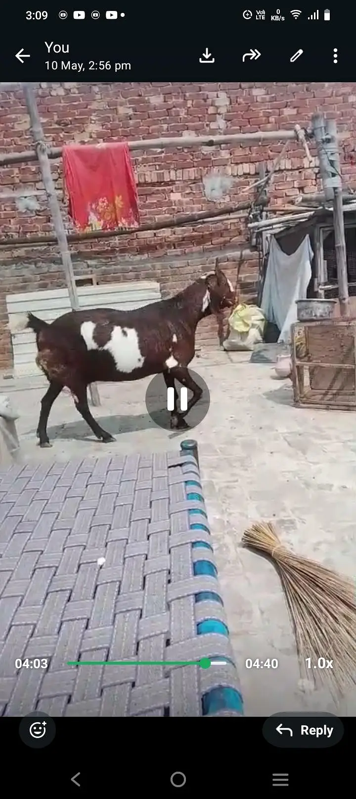 bakri — photo 4