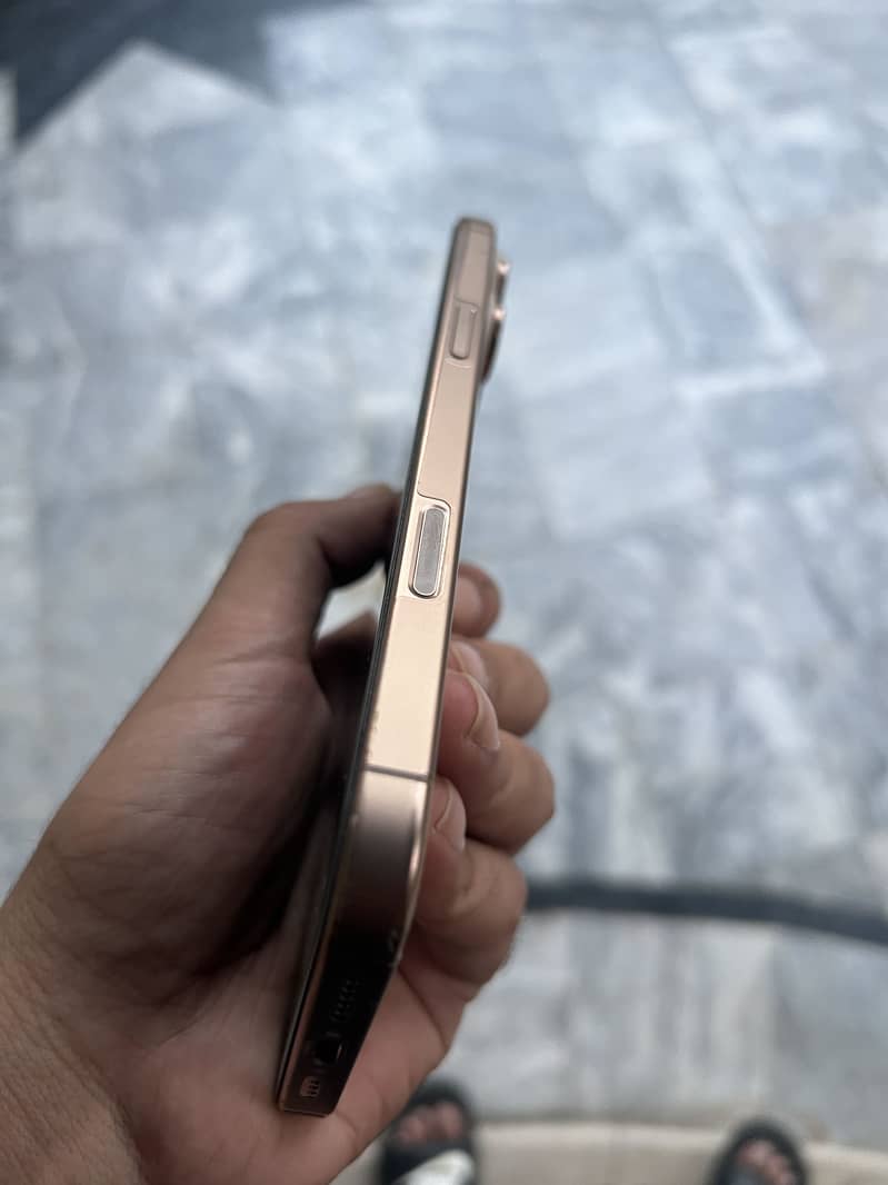 Apple iPhone 16 Pro Max 4