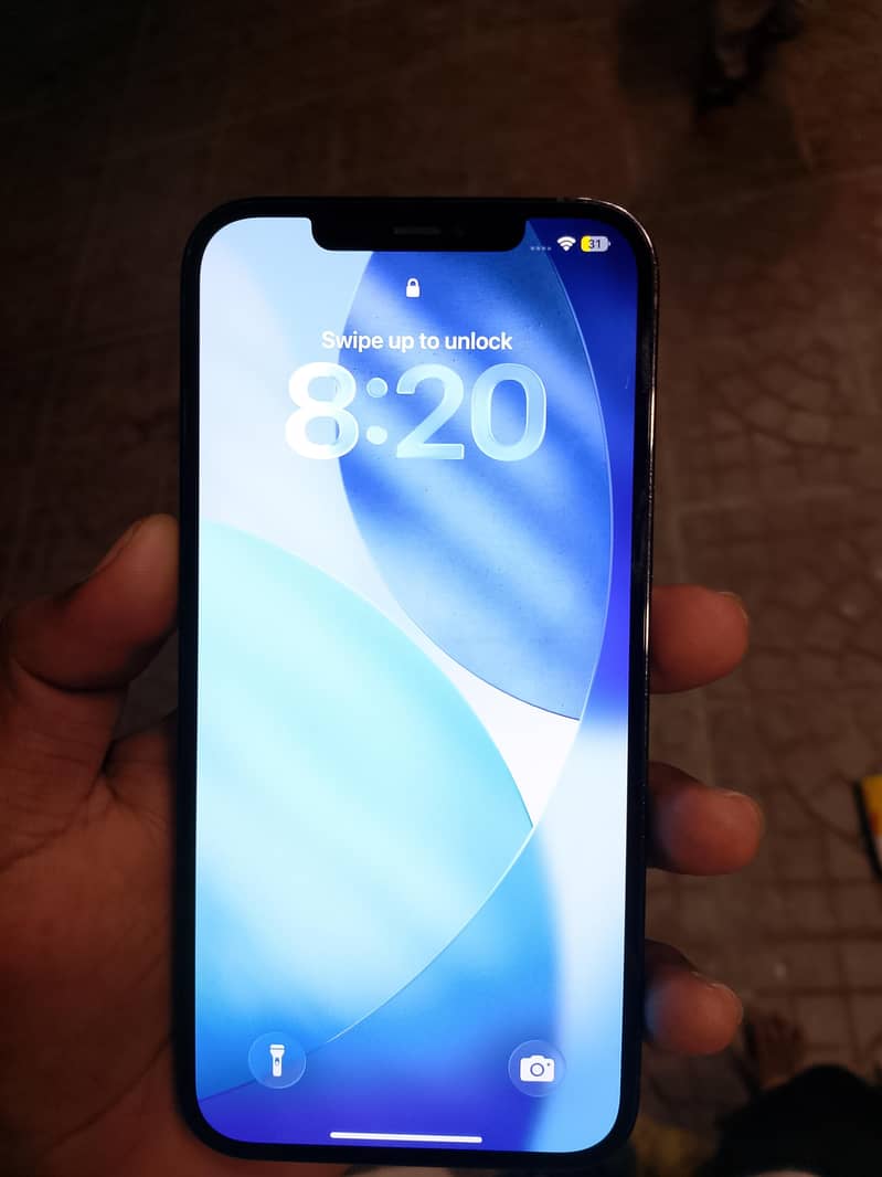 Apple iPhone 12 Pro Max 1