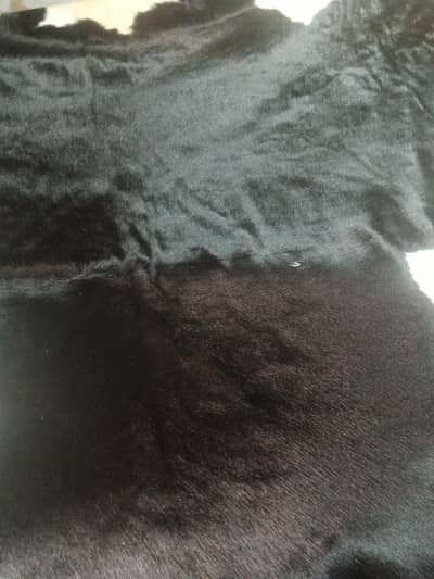 Hair on leather Hide