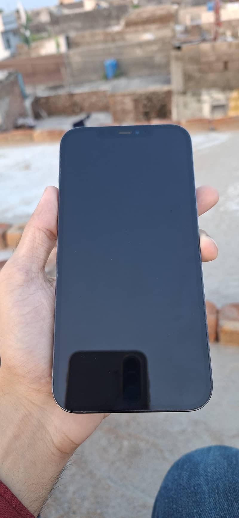 Apple iPhone 12 Pro Max 0