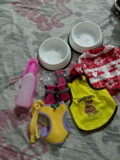 harness, shoes, dress,bowls , bottles