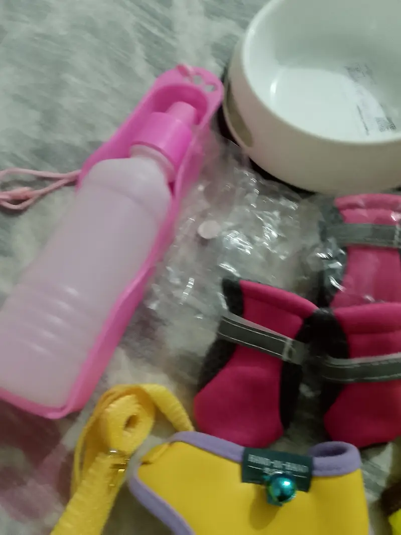 harness, shoes, dress,bowls , bottles — photo 2