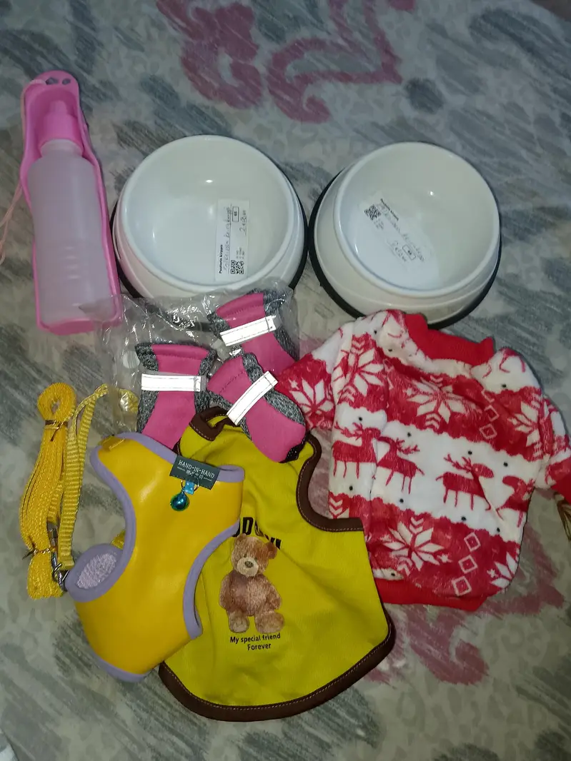 harness, shoes, dress,bowls , bottles — photo 4