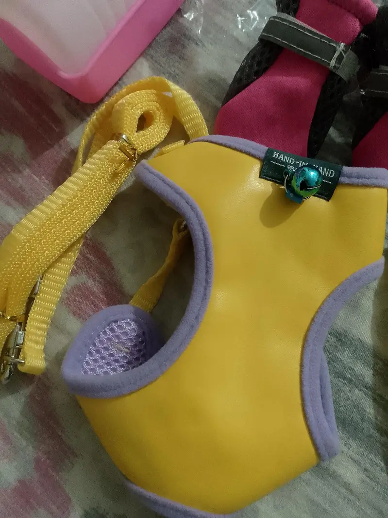 harness, shoes, dress,bowls , bottles — photo 7