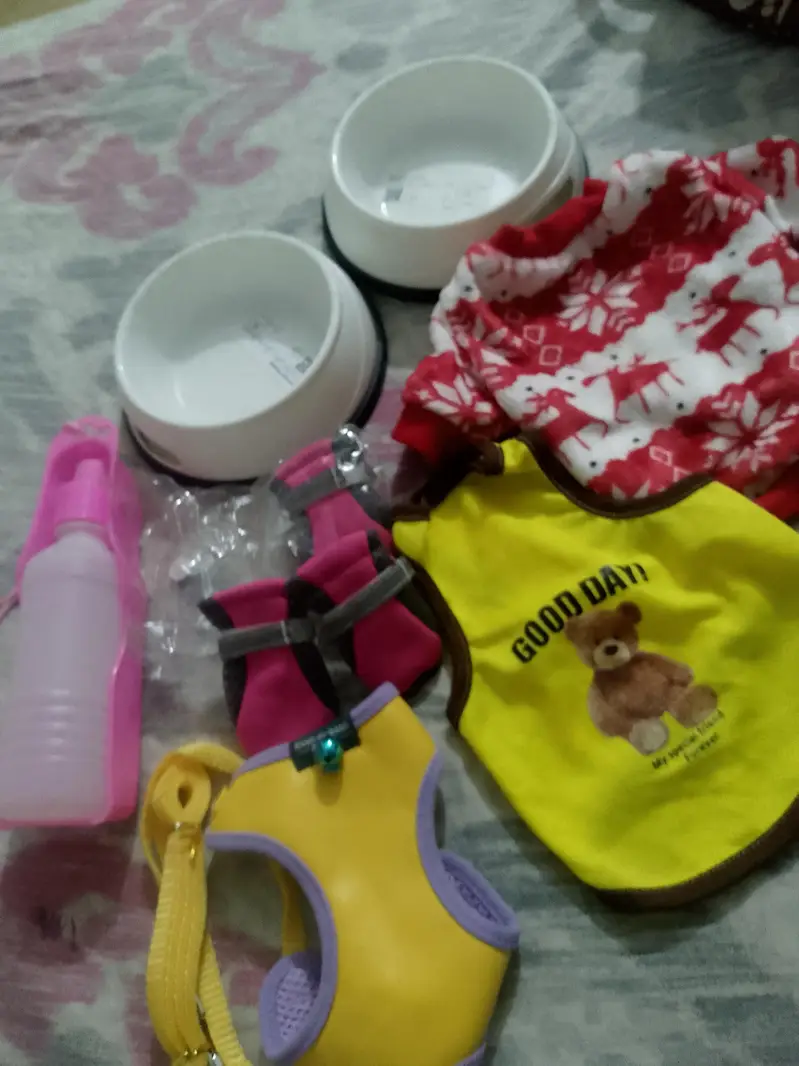 harness, shoes, dress,bowls , bottles — photo 8