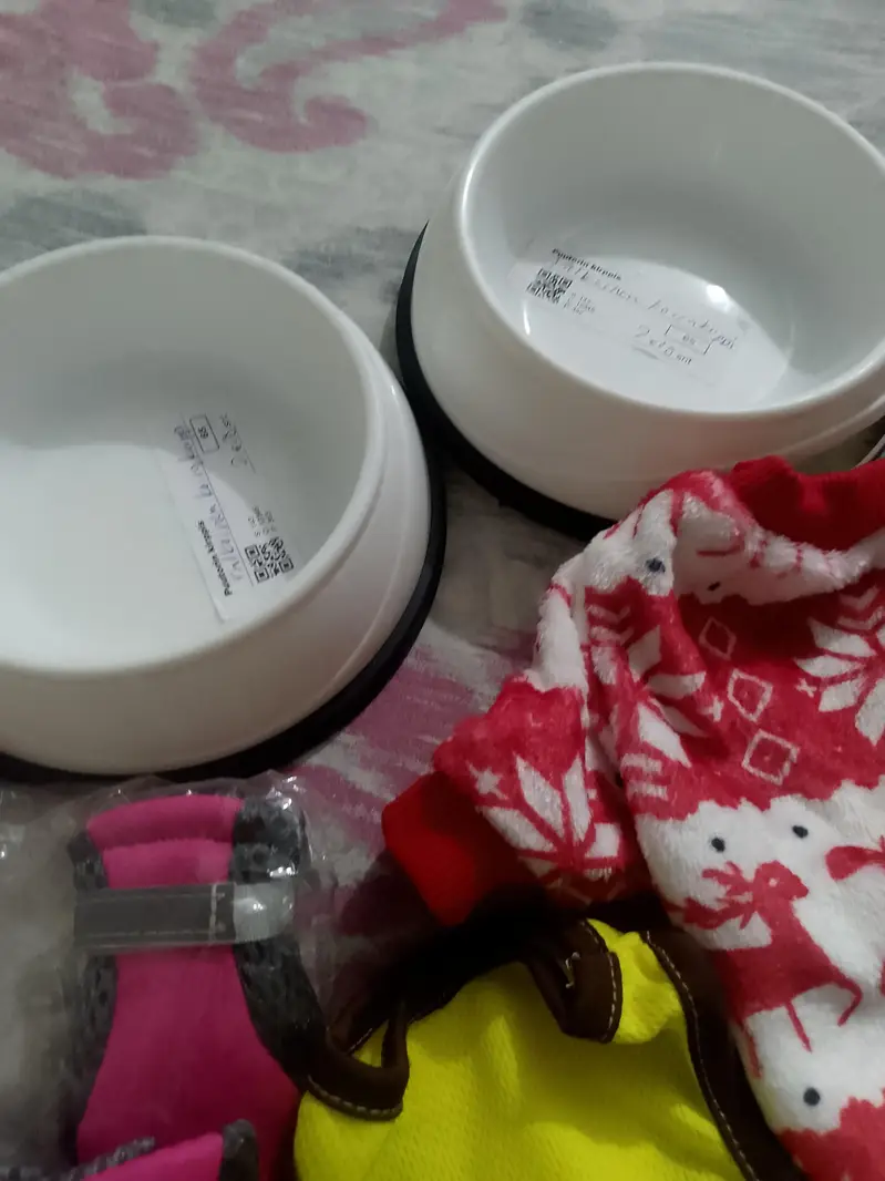 harness, shoes, dress,bowls , bottles — photo 9