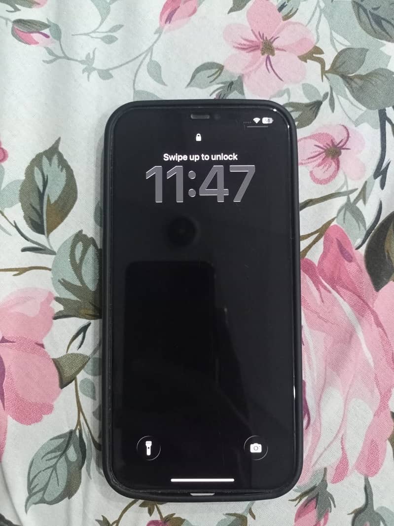 Apple iPhone 12 Pro Max 1