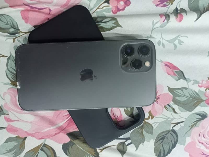 Apple iPhone 12 Pro Max 2