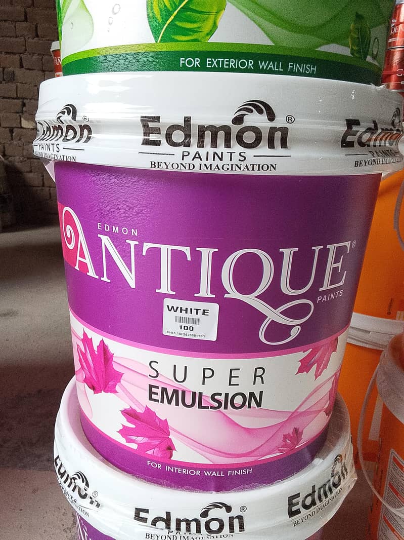Edmon Paint 3