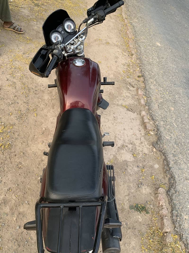 03027533876 6
