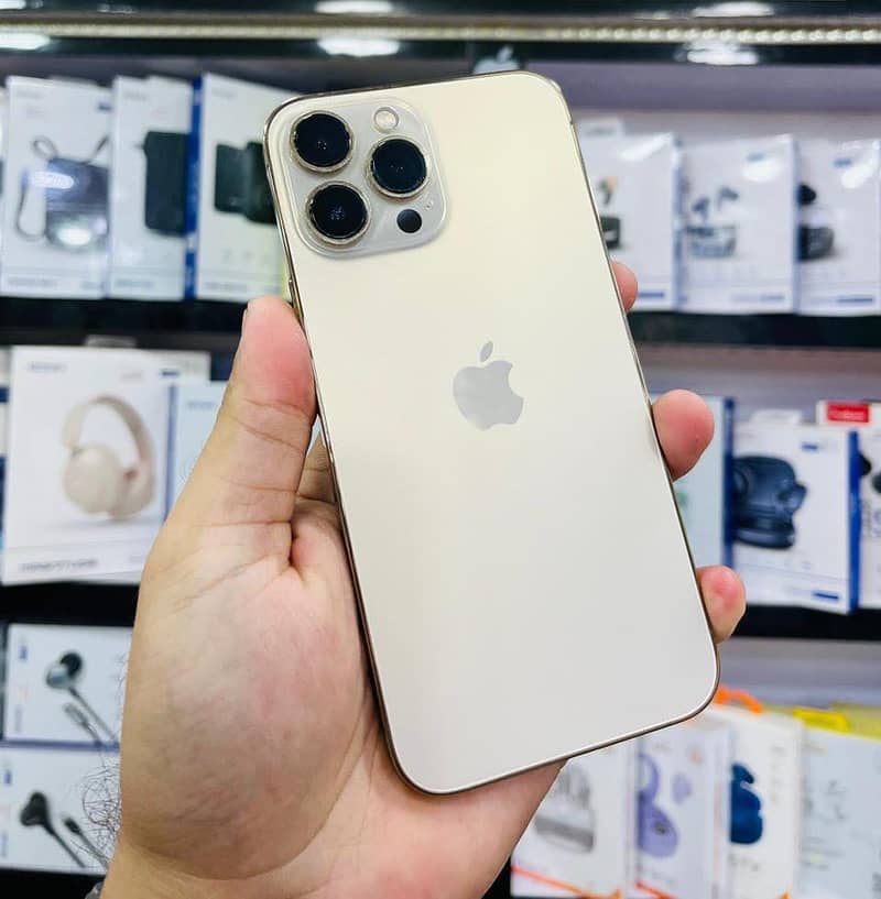 Apple iPhone 13 Pro Max 0