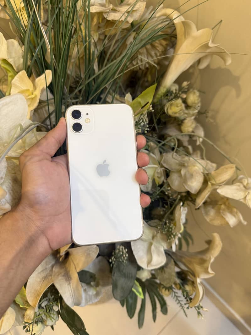 Apple iPhone 11 0