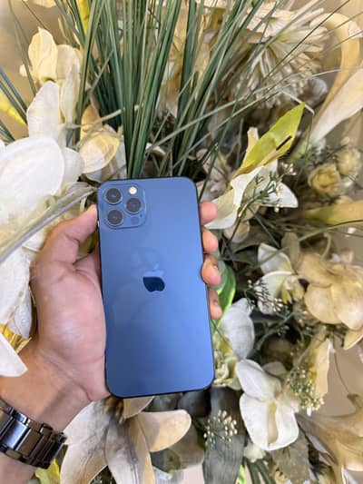 Apple iPhone 12 Pro