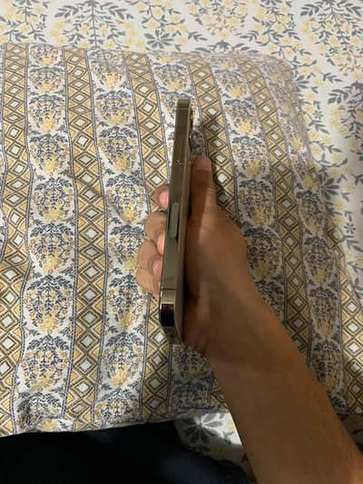 Apple iPhone 12 Pro