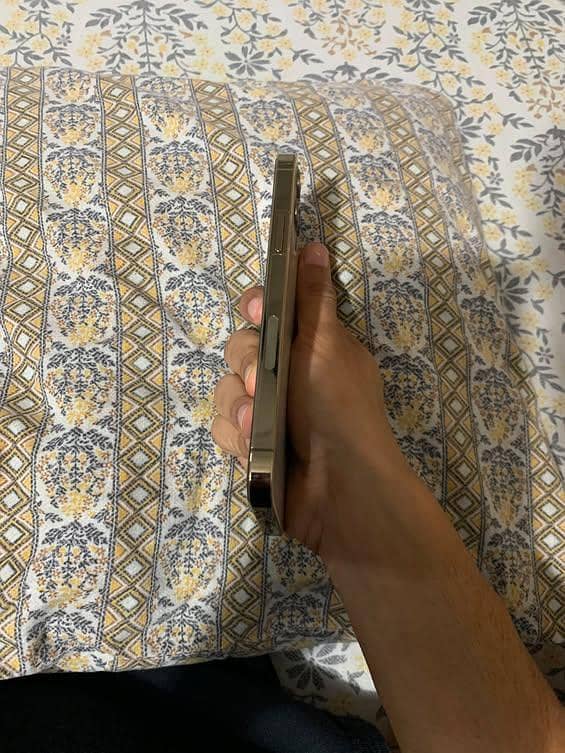 Apple iPhone 12 Pro 0