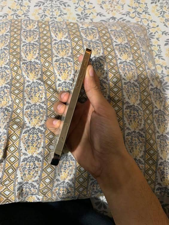 Apple iPhone 12 Pro 4