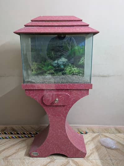 Fish Aquarium for sale