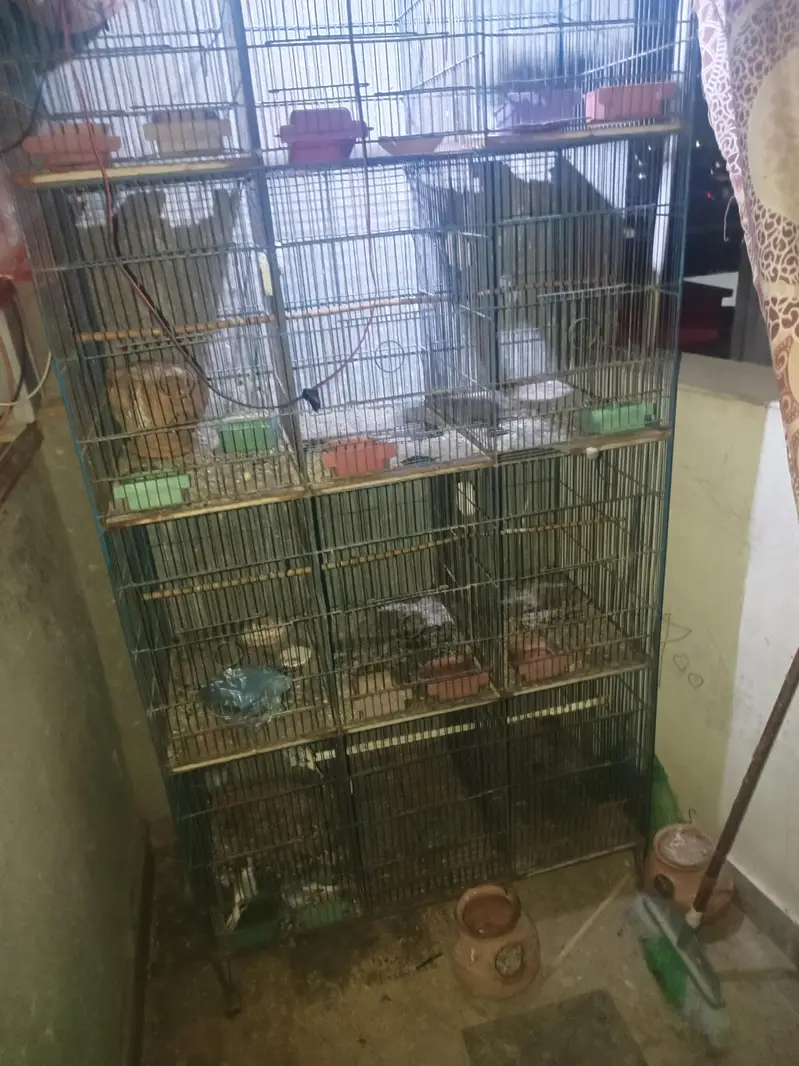 12 khano ka pinjra sale — photo 2