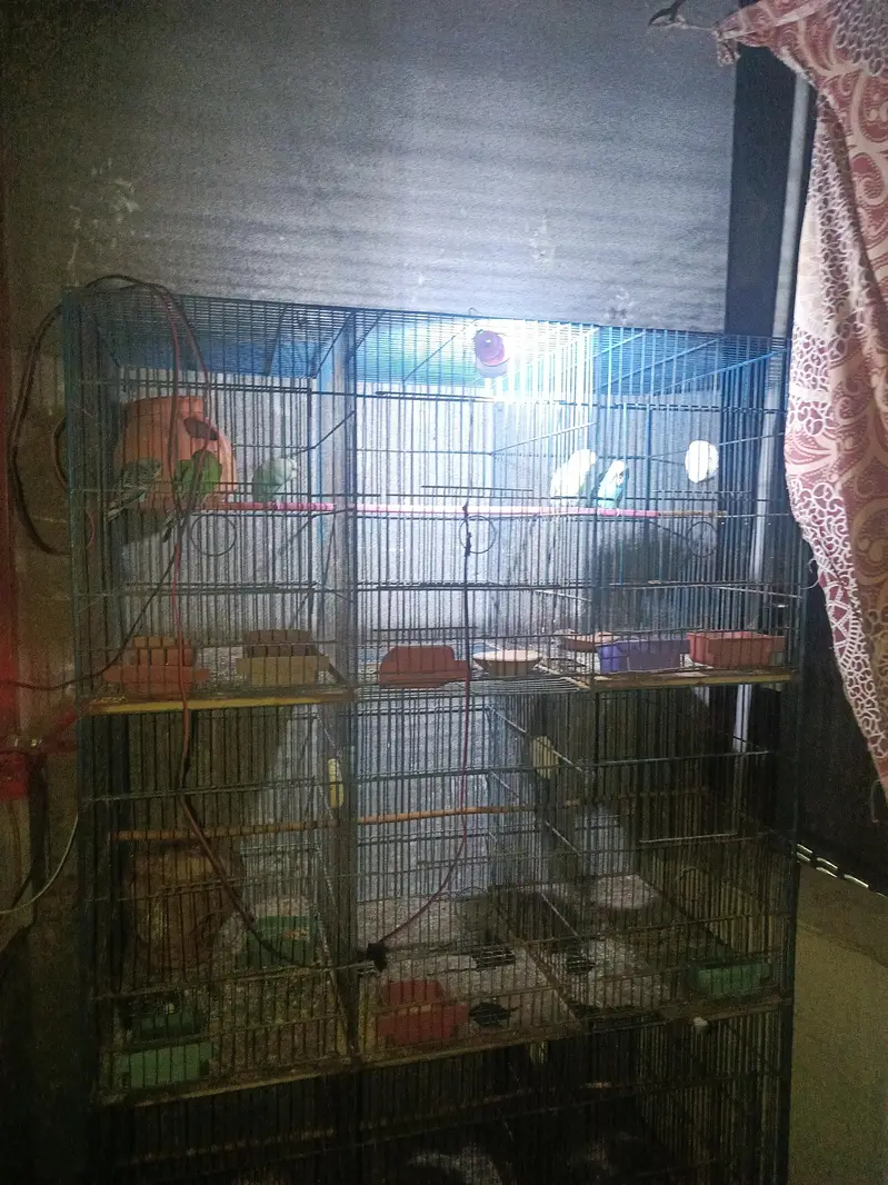 12 khano ka pinjra sale — photo 3