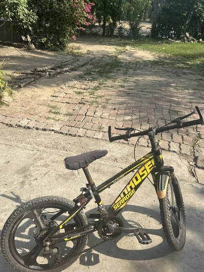mountain bicycle