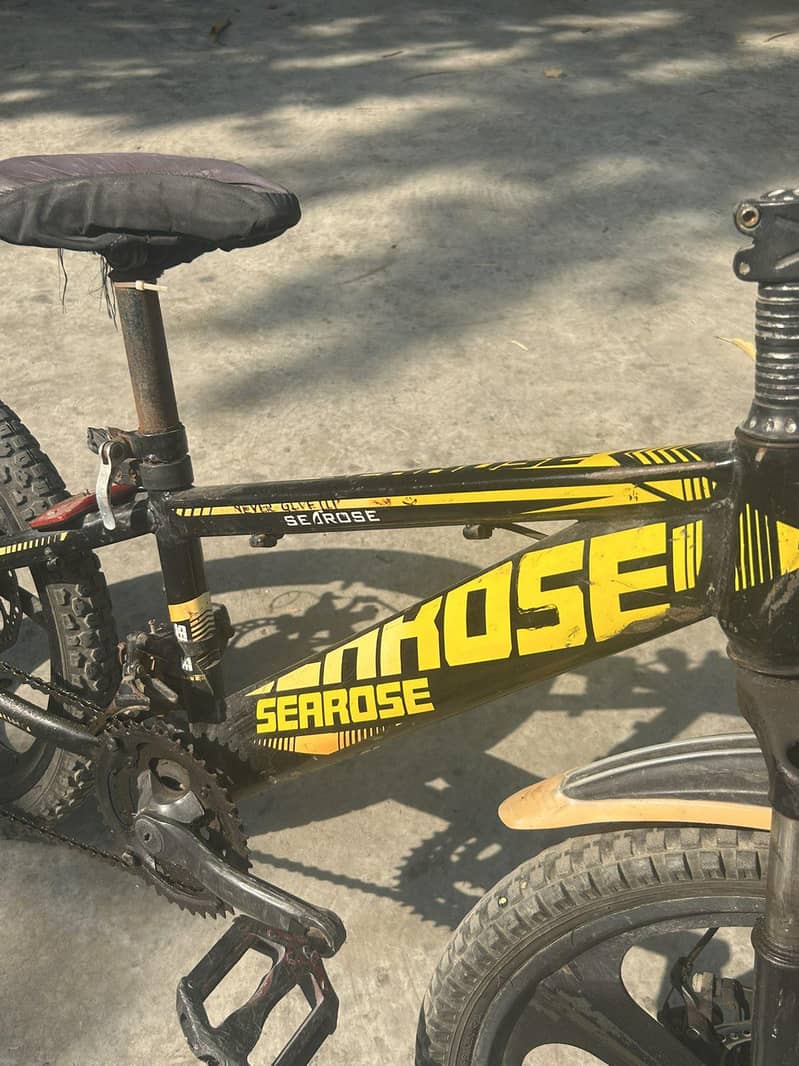 mountain bicycle 1