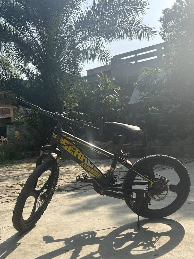 mountain bicycle 2
