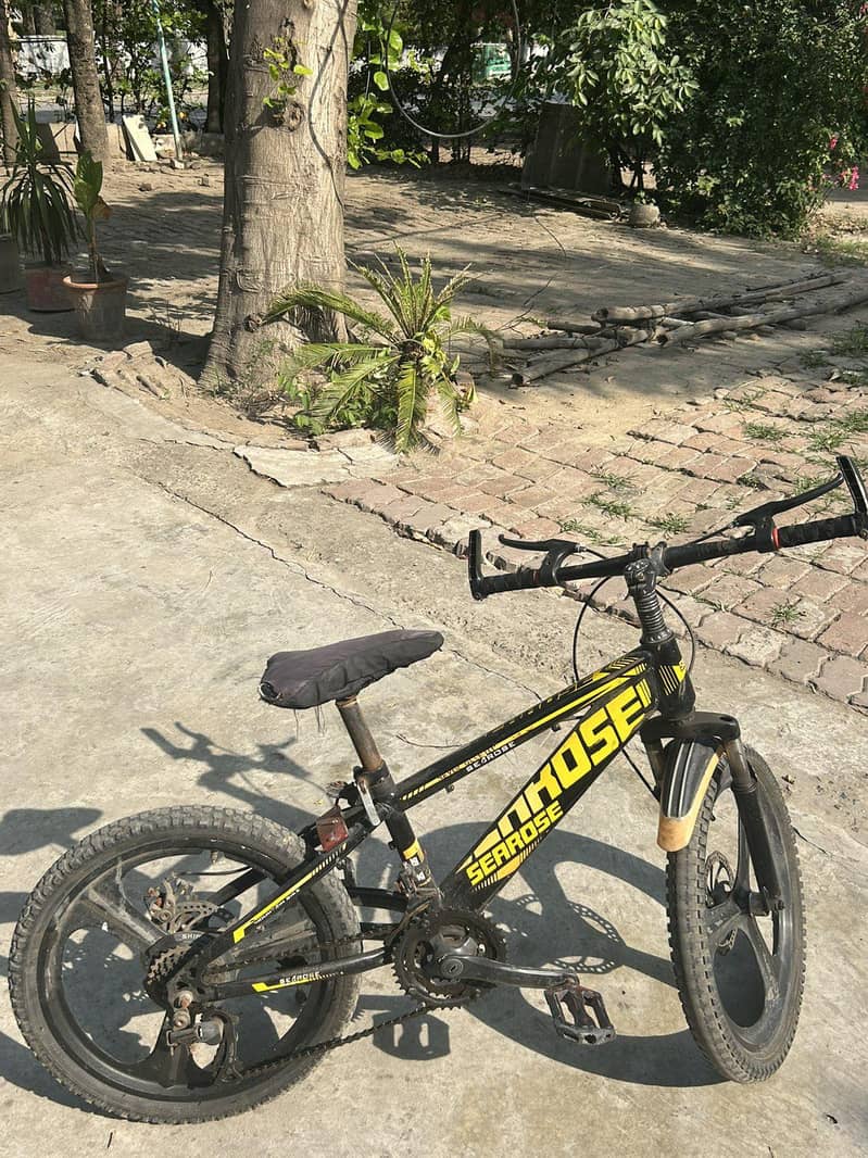 mountain bicycle 4