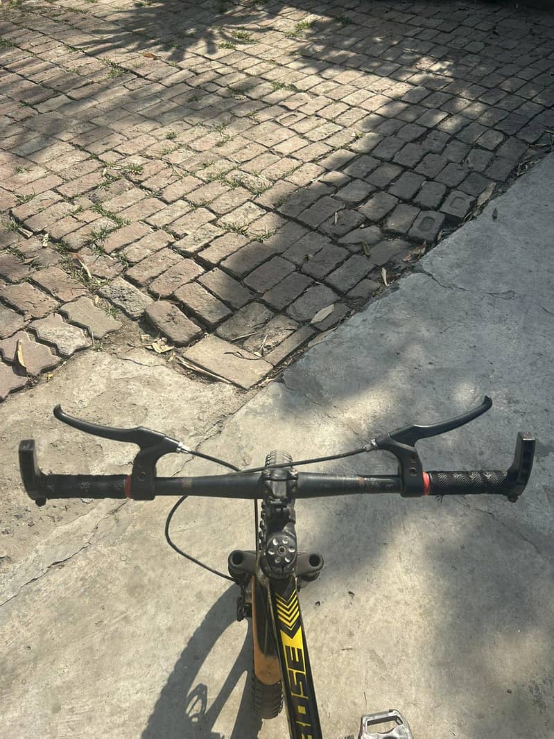mountain bicycle 5