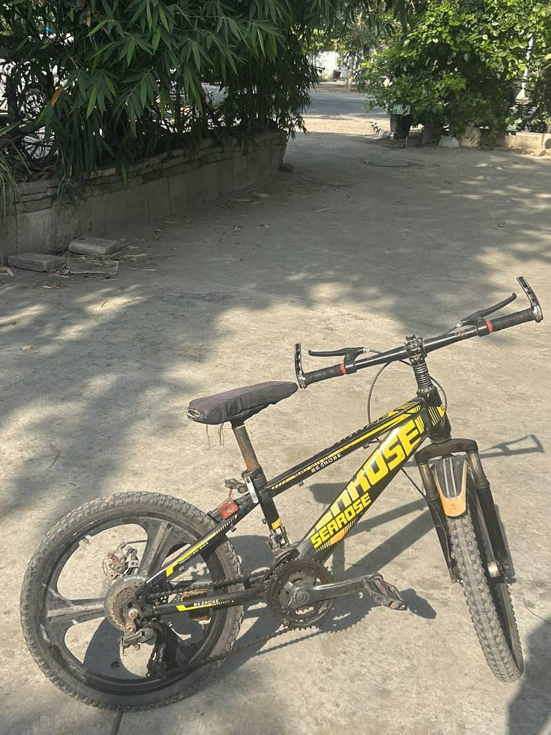 mountain bicycle 6