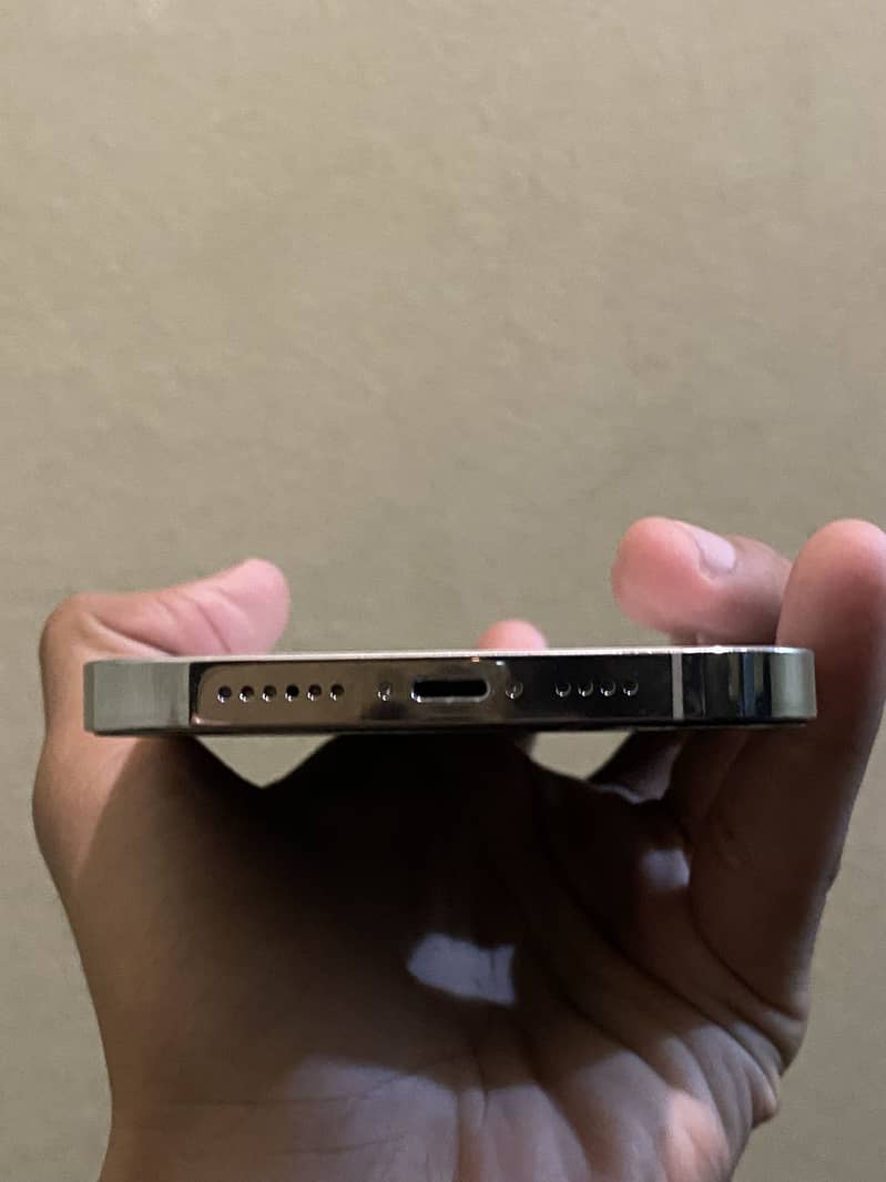 Apple iPhone 13 Pro Max 1