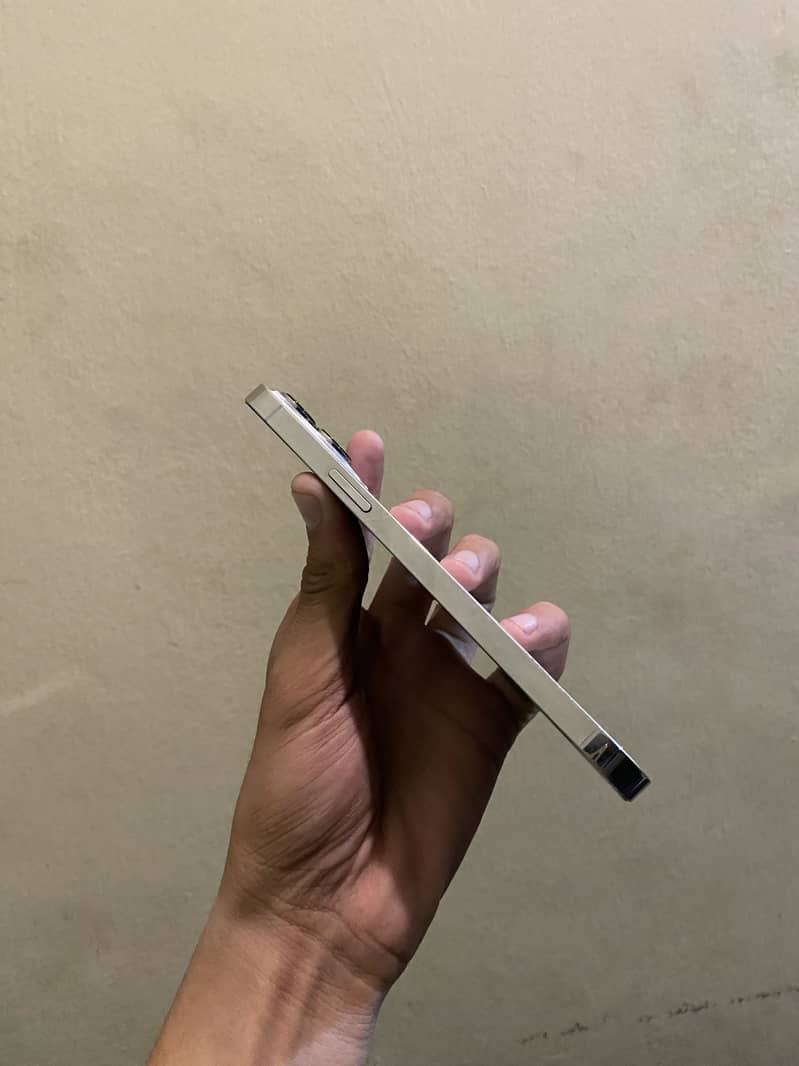 Apple iPhone 13 Pro Max 2