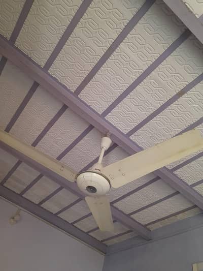Royal 3-Blade Ceiling Fan