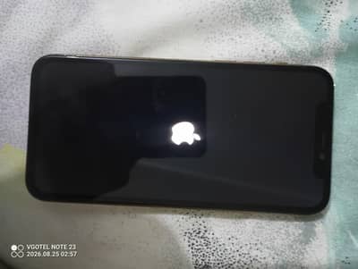 Apple iPhone 11 Pro