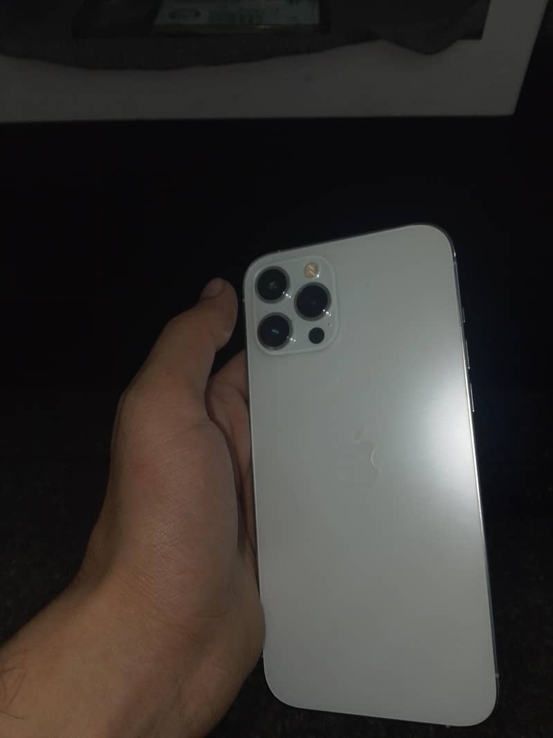 Apple iPhone 12 Pro Max 1