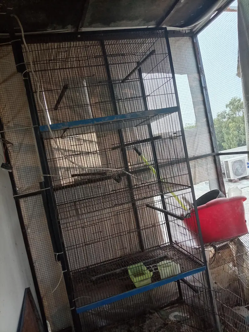 cage for sale 2/1/5 Haa — photo 2
