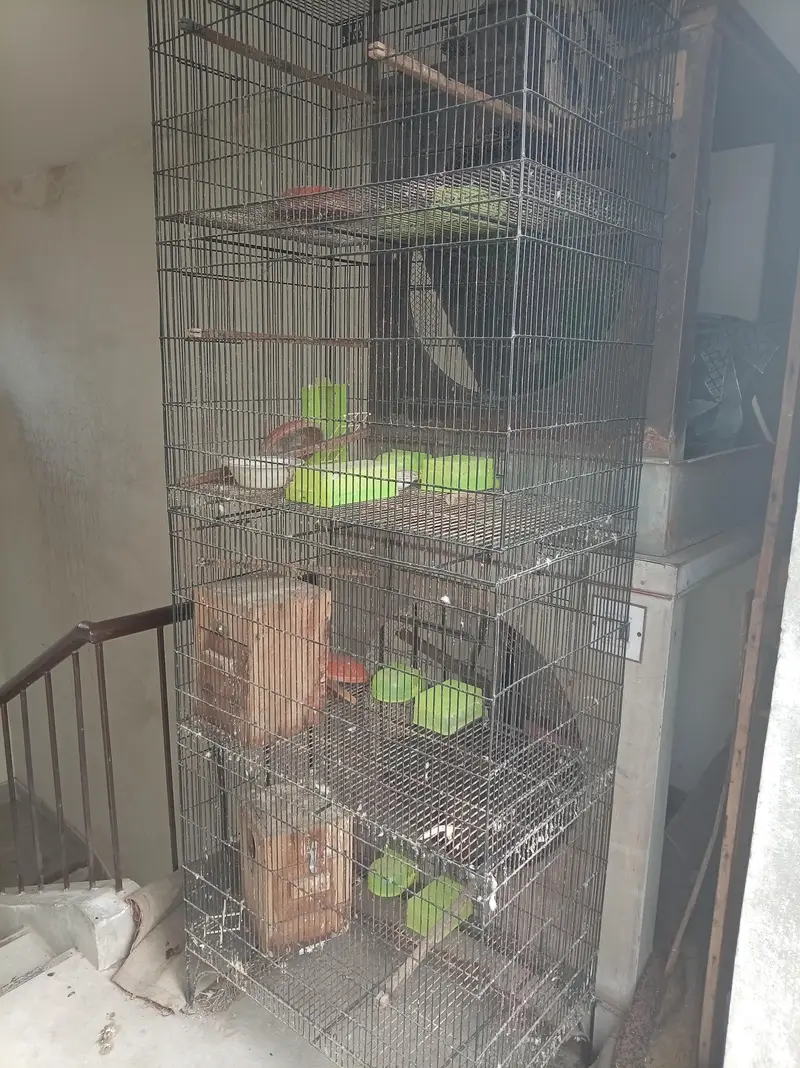 cage for sale 2/1/5 Haa — photo 4