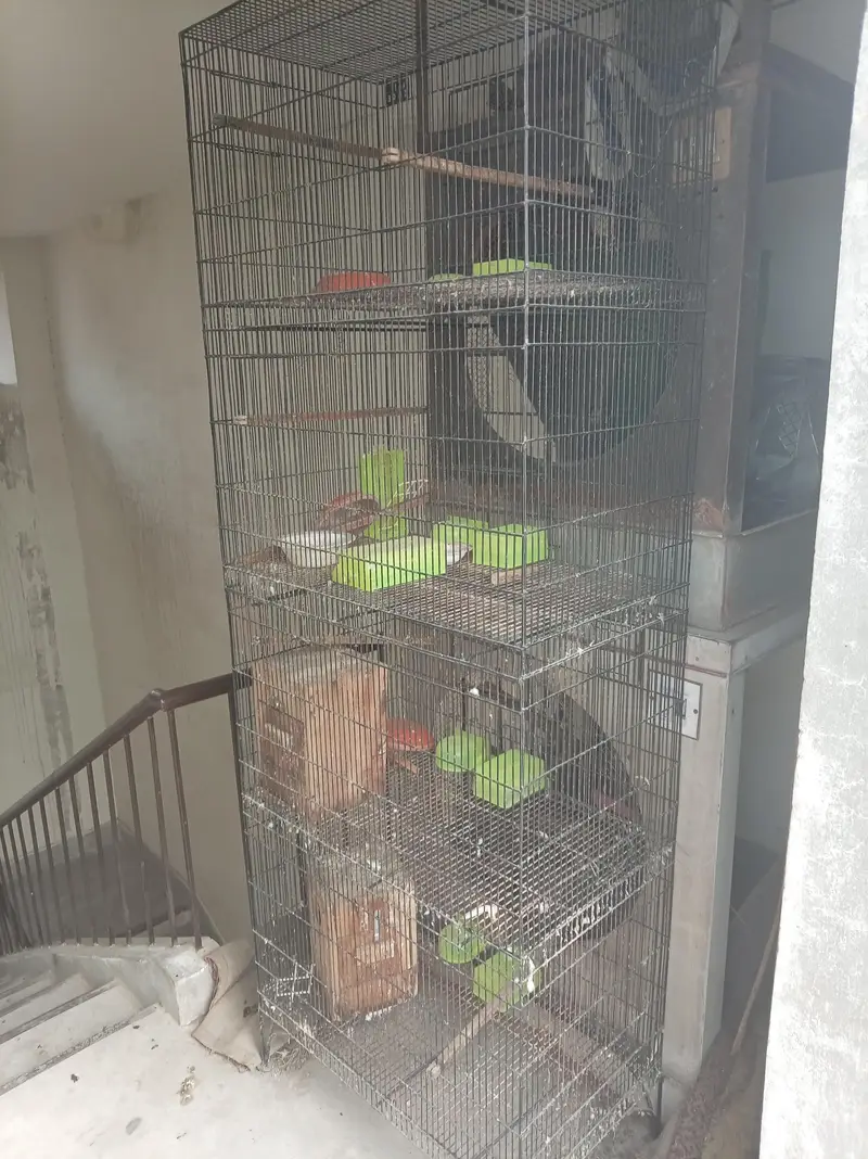 cage for sale 2/1/5 Haa — photo 5
