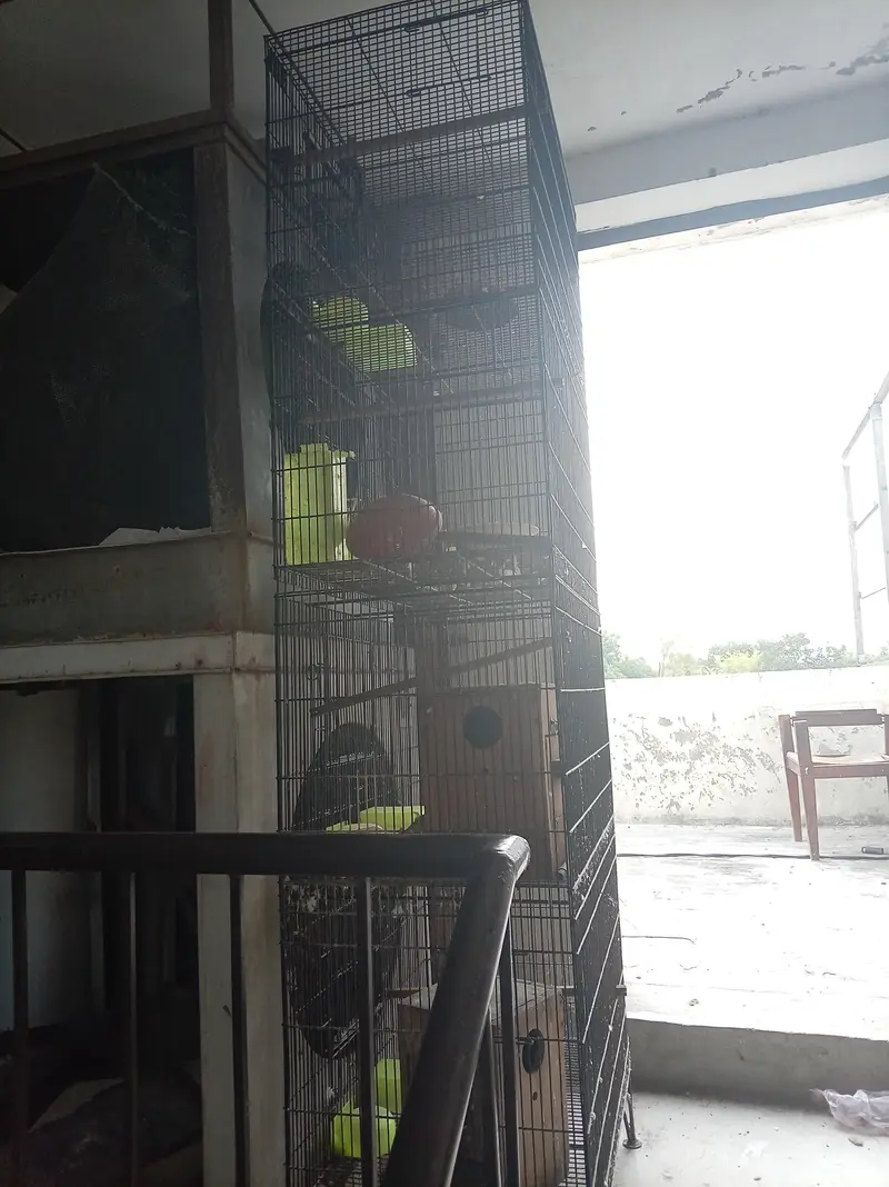 cage for sale 2/1/5 Haa — photo 6