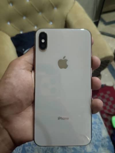 Apple iPhone X