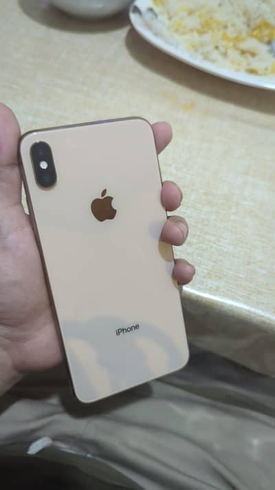 Apple iPhone XS Max Bypass