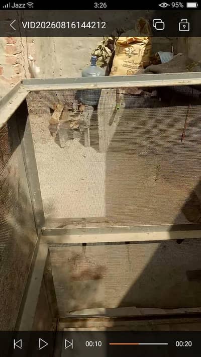 iron cage