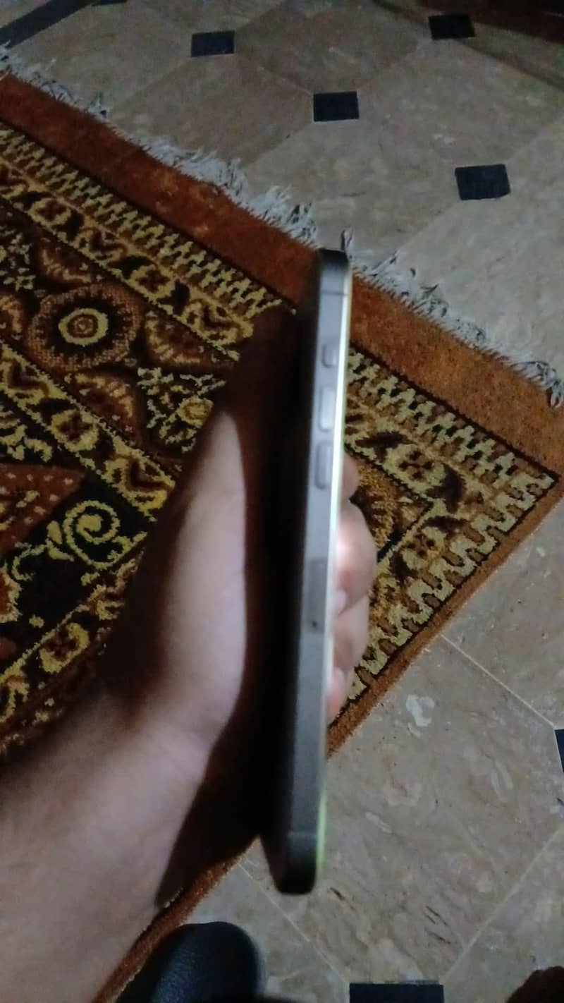 15 pro max 2