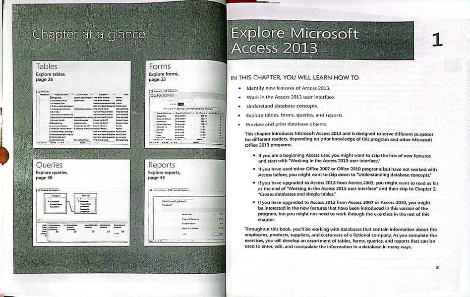 Mirosoft Access 2013 1
